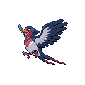 Swellow