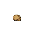 Swinub official in-game sprite