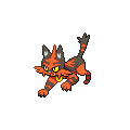 Torracat