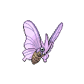 Venomoth