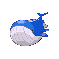 Wailord