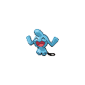 Wynaut