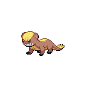 Yungoos official in-game sprite