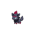 Zorua